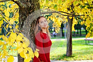 Selective focus. A young beautiful woman in a red knitted dress in an autumn forest among yellow foliage. A park on a sunny autumn