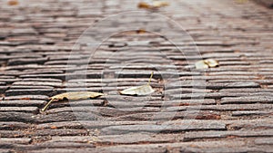 Selective focused Cobblestone pavement.Vintage stone street road pavement texture.pattern of stone block paving.Granite cobble