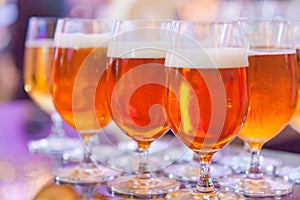 Selective Focused Glasses of Draught Beer or Craft Beer, Refreshment, Liquor, Alcoholic Drink, Beverage. Celebration Party