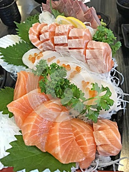 Selective focused on Japanese food cuisine gourmet: platter of sashimi fresh raw fish meat including salmon, fatty salmon, scall