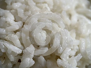 Macro photography of white clumpy rice with sticky texture photo
