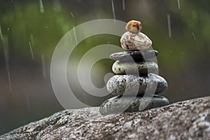 Selective of a pile of stones near the lake