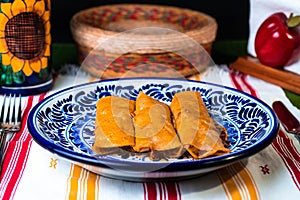 Selective shot of Mexican delicious food on the white-blue plate on the kitchen