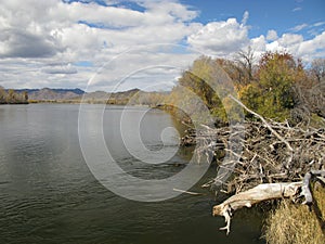 Selenge river, Mongolia