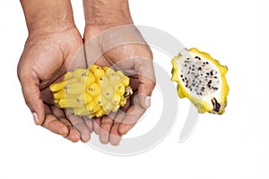 Selenicereus Megalanthus - Pitahaya Or Dragon Fruit Yellow Color; In Male Hand On White Background