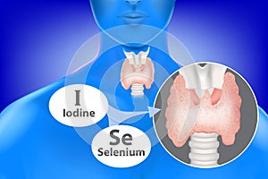 Selenium and iodine