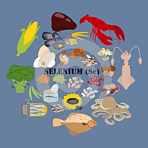 Selenium Se microelement in food vector illustration