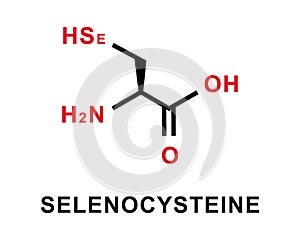 Selenocysteine chemical formula. Selenocysteine chemical molecular structure Vector illustration