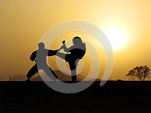 Self defense martial arts training