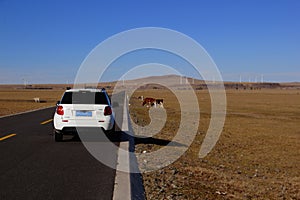 Self driving travel in the wide grassland of Inner Mongolia