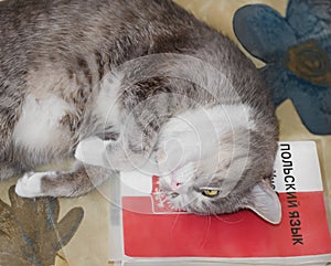 Self-education and training.The cat is lying on the book.