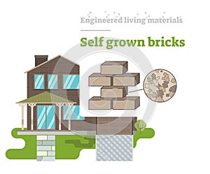 Self Grown Bricks - Engineered Living Material photo