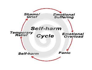 Self -harm Cycle photo