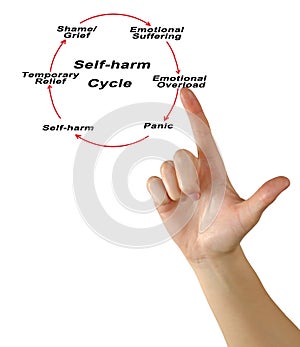 Self -harm Cycle photo