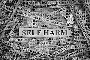 Self Harm. Torn pieces of paper with the words Self Harm photo
