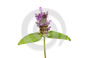 Self heal