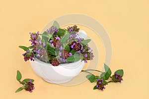 Self Heal Herb for Natural Alternative Herbal Remedies