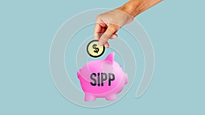 Self invested personal pension SIPP is shown using the text