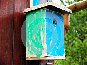 Self made birdhouse painted by a kid in green and blue hanging on the wooden wall.The concept of early development, hand made