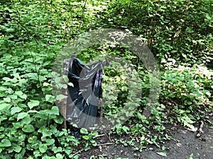 self made trash bin from black plastic bag on wooden sticks stand in forest for collecting garbage on forests path.