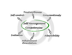 Self Management Competencies photo