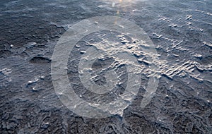 Self-precipitating table salt sodium chloride on the surface of dried plants at the bottom of the Kuyalnik estuary, Odessa region