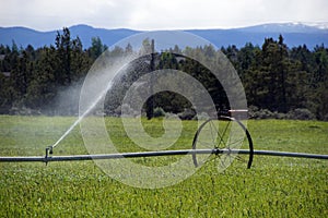 Self propelled irrigation sprayers photo