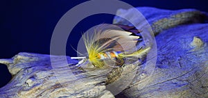 Self-tied fishing lures, flies for fly fishing studio shots