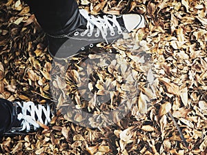 Selfie of black sneakers on dried leaves