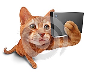 Selfie Cat