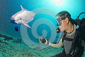 Selfie with dolphin underwater coming to diver