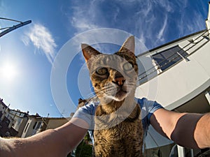 Selfie with Savannah cat