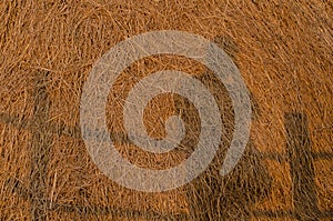 Selfie, shadow of photographer against straw heap.