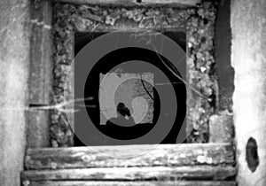 Selfportrait in the old well.