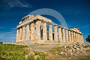 Selinunte Temple in spring