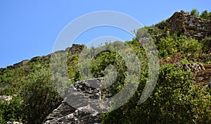 Selinus Ancient City, located in Antalya