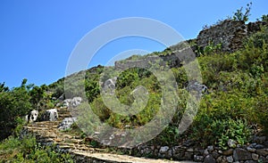 Selinus Ancient City, located in Antalya