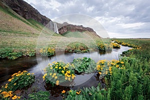 Seljalandfoss waterfall