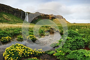 Seljalandfoss waterfall. Beautiful summer sunny day