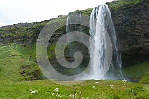 Seljalandsfoss falls in summer season view, Iceland