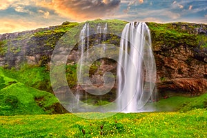 Seljalandsfoss waterfall in Iceland at sunset, amazing summer landscape with green flowering meadow and falling water, travel