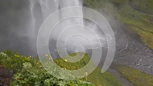 Seljalandsfoss waterfall in southern iceland