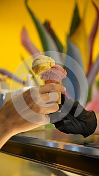 Seller in apron holding ice cream in a waffle cone, close-up. Selling ice cream in a shop