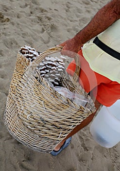 Seller coconut on the resort beach