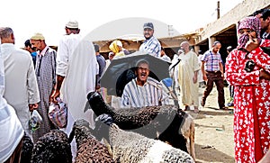 A seller of sheep protects from the sun with an umbrella in the souk of the city of Rissani in Morocco