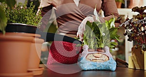 The seller waters the plant. Caucasian female assistant working with flowers in pots in flower shop of plant shop