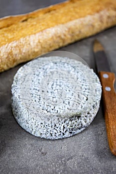 Selles-sur-Cher goat cheese and baguette