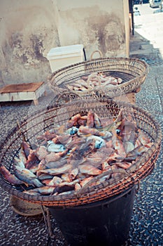 Selling fish