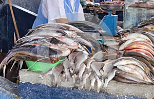 Selling fish in the market. Close-up. Ecuador. photo