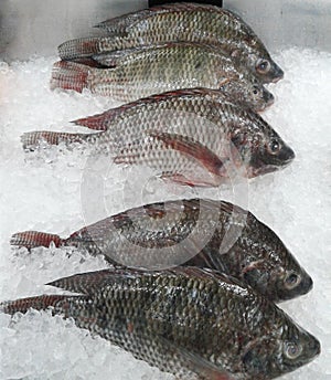 Selling fish in the market on white background In the supermarket. food